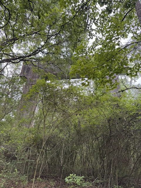 One of the four concrete towers in Santos, built in 1936 and never used for anything.