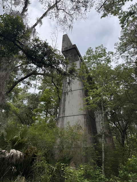 Looking up at a massive concrete stanchion rising far above the tree canopy, surrounded by palms, oaks, and Spanish moss on an overcast day.